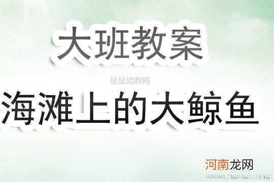 大班语言大鲸鱼在海边教案反思