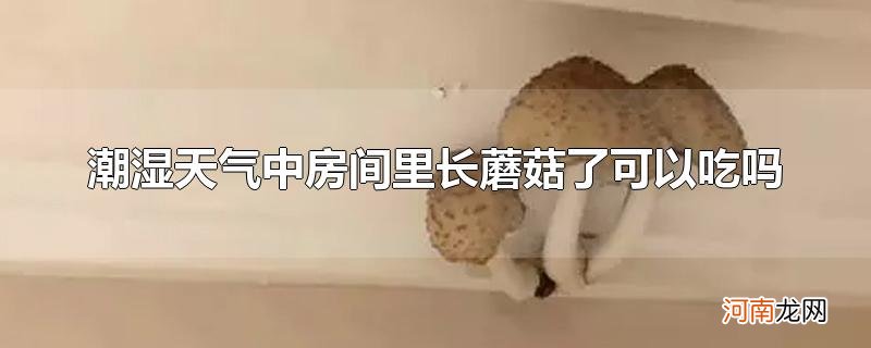 潮湿天气中房间里长蘑菇了可以吃吗