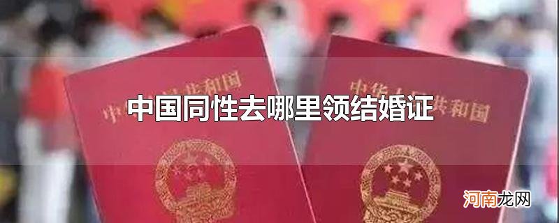 中国同性去哪里领结婚证