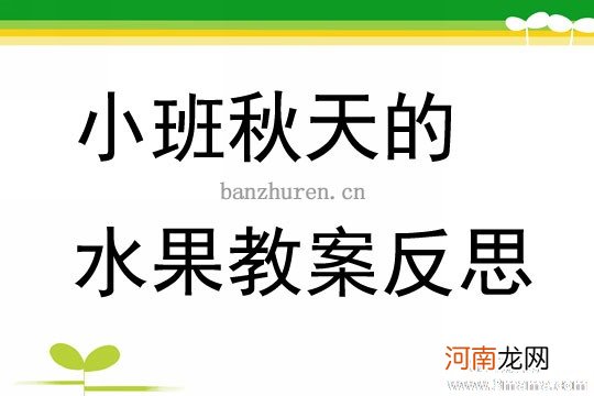 中班社会活动卖水果教案反思