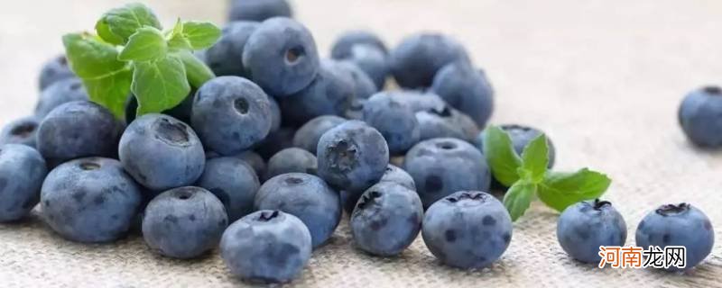 蓝莓不放冰箱可以放多久优质