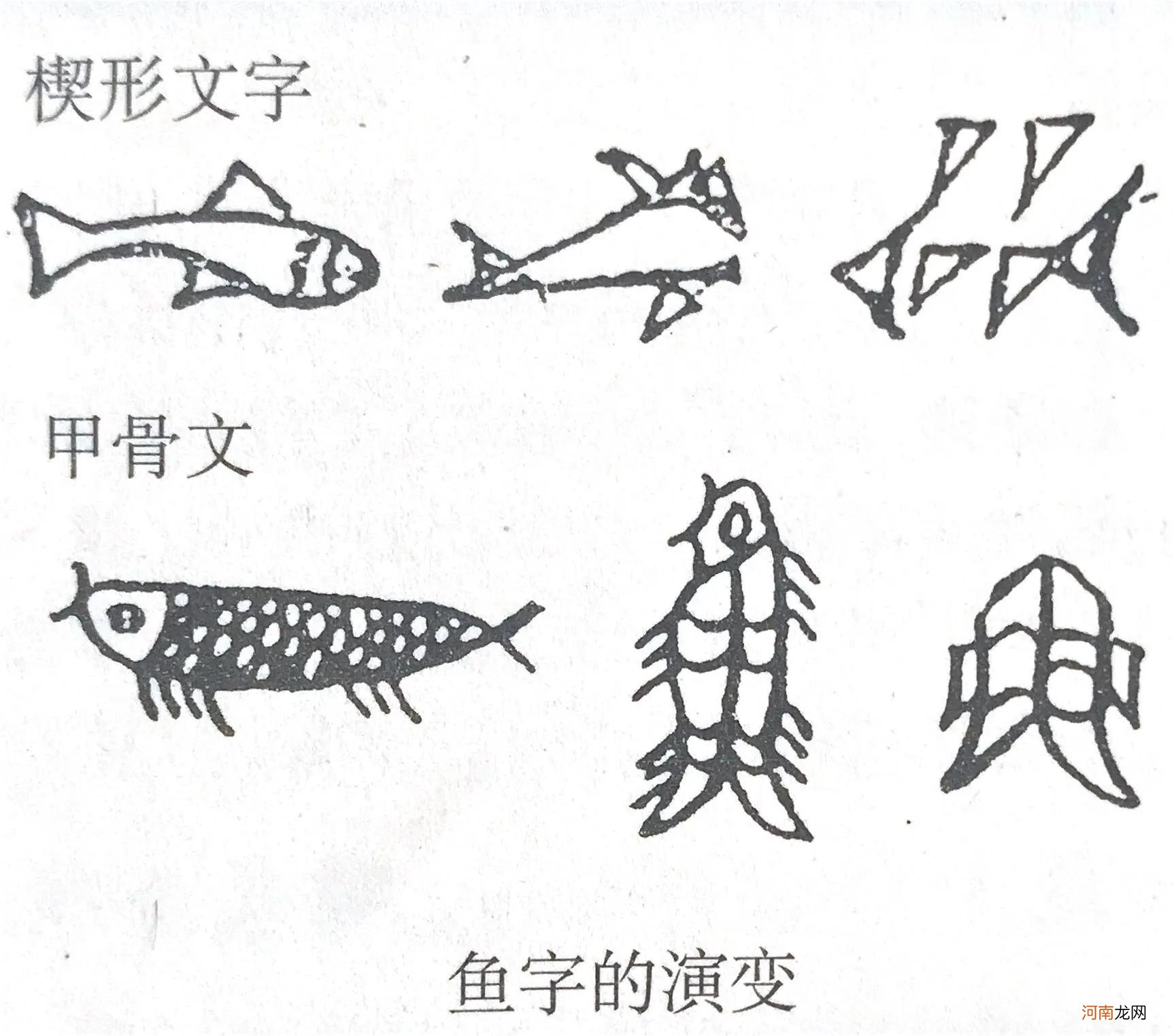 你知道汉字的起源和演变吗 汉字的起源和演变
