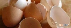 蛋壳属于厨余吗优质