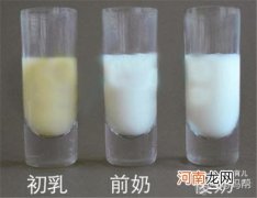 初乳的营养百分比