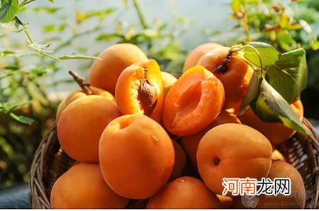 伏医生教你正视儿童性早熟！