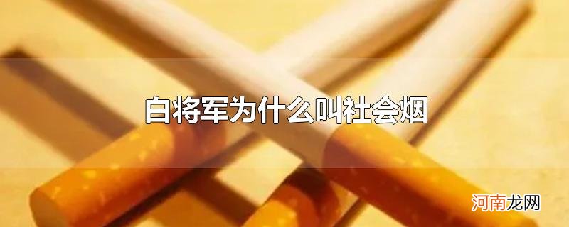 白将军为什么叫社会烟