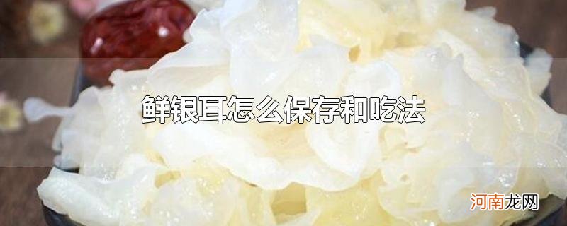 鲜银耳怎么保存和吃法