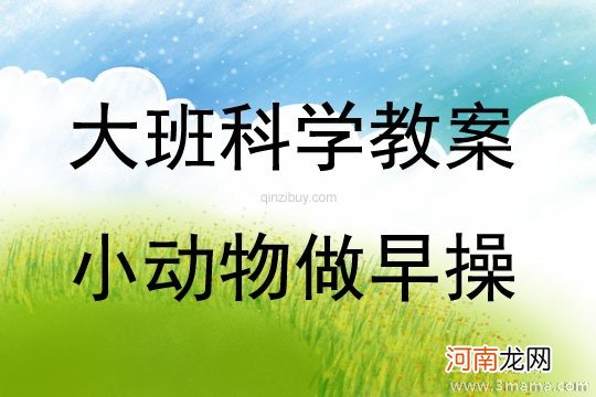 大班科学活动小动物做早操教案反思