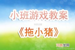 附教学反思 小班数学活动教案：小猪过生日教案