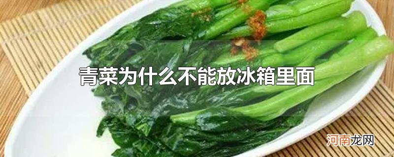 青菜为什么不能放冰箱里面