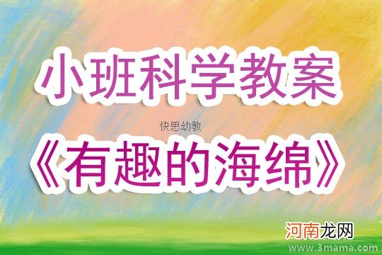 小班科学有趣的海绵教案