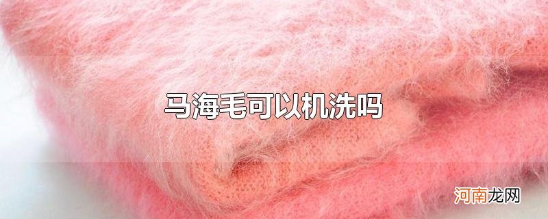 马海毛可以机洗吗