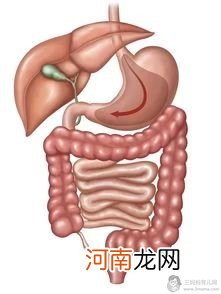 消化系统不好怎么办