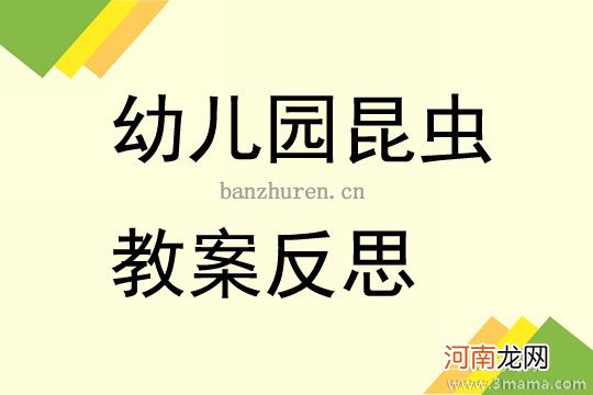 中班科学寻找小昆虫教案反思