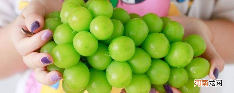 怎么区分晴王和提子优质