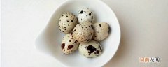 生的鹌鹑蛋能放多久优质