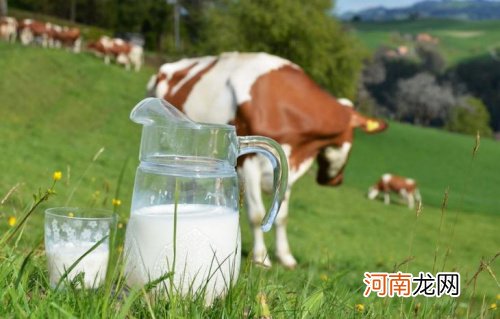 牛初乳蛋白粉