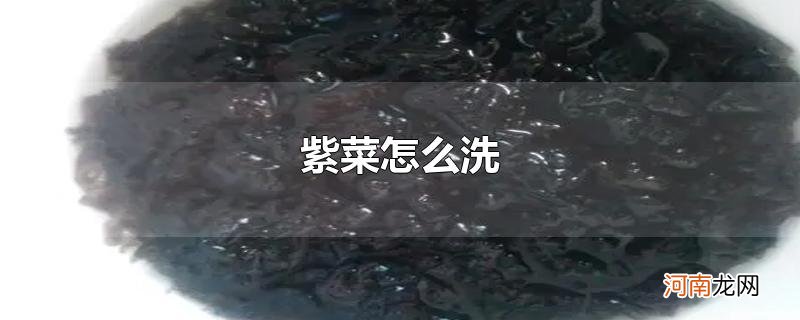 紫菜怎么洗