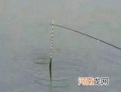 钓鱼时使用蚯蚓时的技巧方法