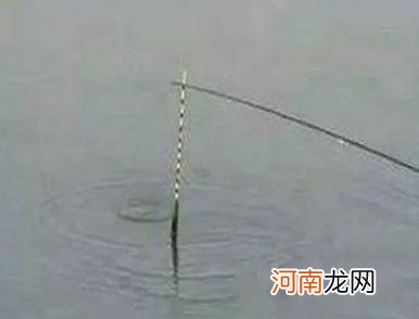 钓鱼时使用蚯蚓时的技巧方法