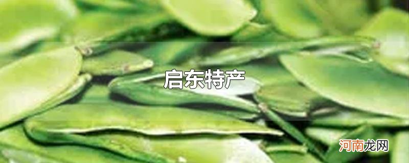 启东特产