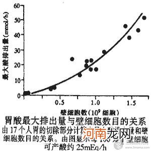 生理学简述胃酸的生理作用