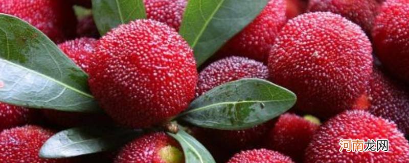 杨梅如何处理才能吃优质