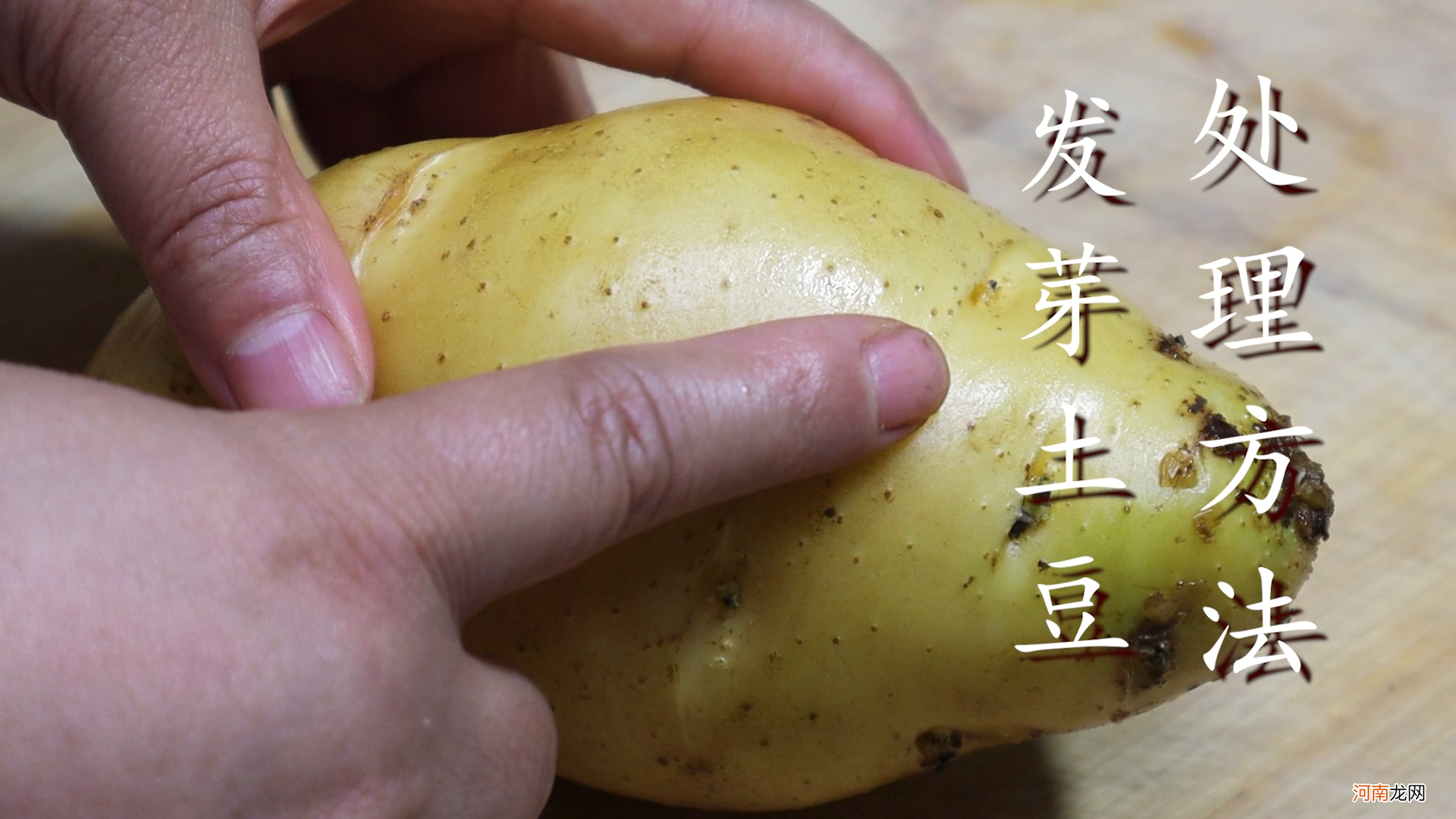 土豆发芽能吃吗 土豆发芽能吃吗？