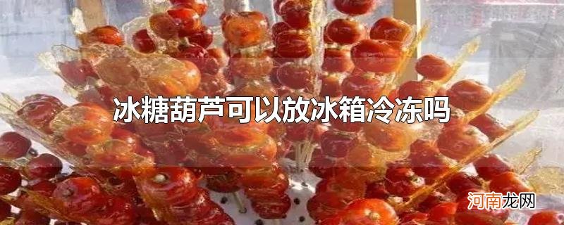 冰糖葫芦可以放冰箱冷冻吗