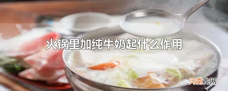 火锅里加纯牛奶起什么作用