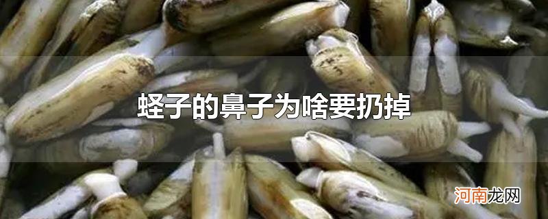 蛏子的鼻子为啥要扔掉