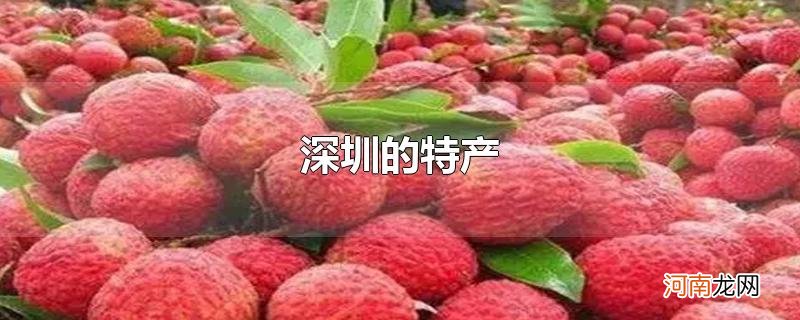 深圳的特产