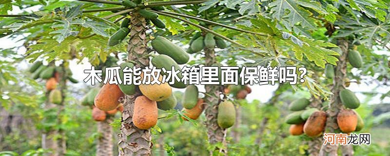 木瓜能放冰箱里面保鲜吗?