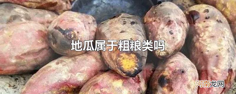 地瓜属于粗粮类吗