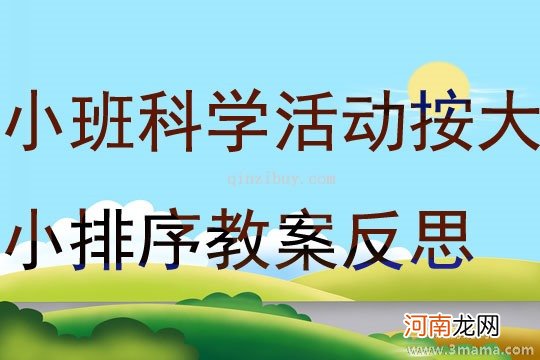 小班科学活动感知物体教案反思