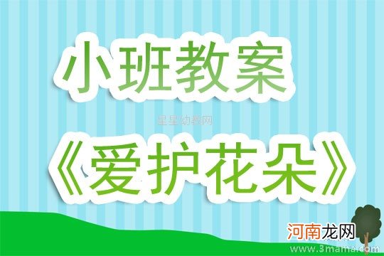 小班主题活动教案：爱护花朵教案