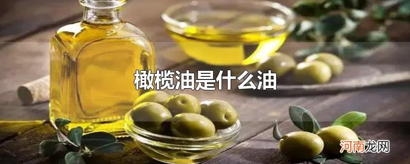 橄榄油是什么油