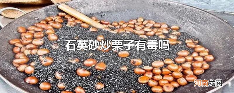 石英砂炒栗子有毒吗