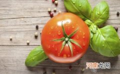 孕妇可以吃未成熟的西红柿吗