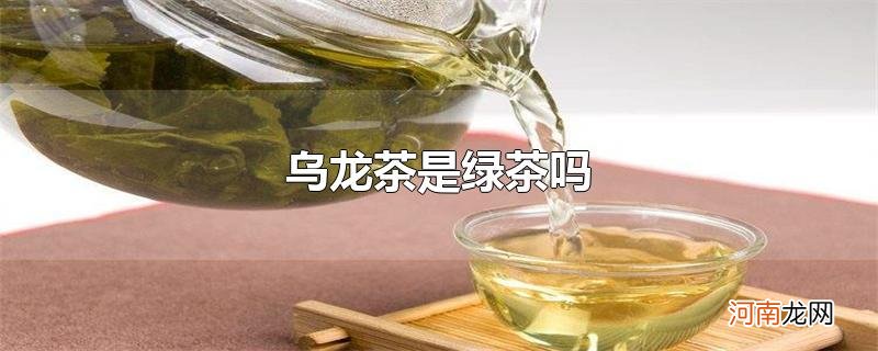 乌龙茶是绿茶吗