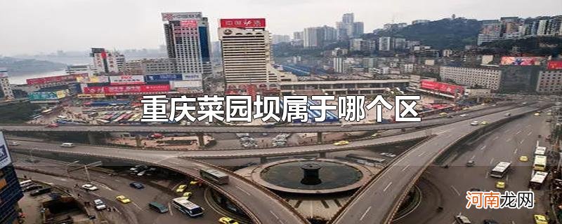 重庆菜园坝属于哪个区