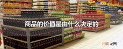 商品的价值是由什么决定的