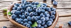 蓝莓变质怎么辨别优质