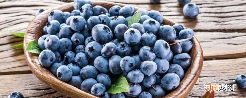 蓝莓变质怎么辨别优质