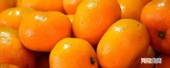 椪柑和橘子的区别优质