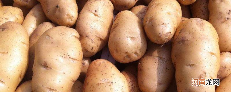 土豆怎么保存不发绿不长牙优质