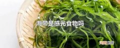 海带是感光食物吗