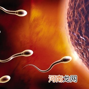 精子过多可能是病理前兆