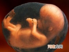 母亲性格会影响着胎儿性别吗