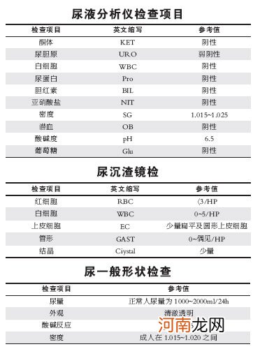 精液检查项目主要包括哪几项